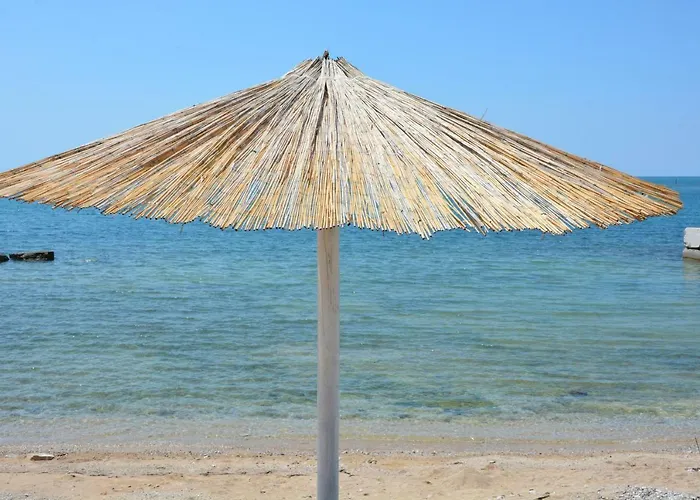 Sommer *